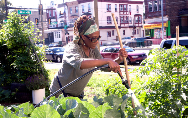 Gardening